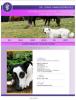 Veterinaria natural y holistica-cuidado de mascotas