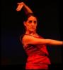 Arte  flamenco-clases de flamenco