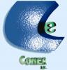 CONEA S.A.-asesoramiento integral para empresas