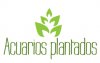 Foto de Acuarios Plantados