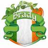 Arquitecto miguel f brady