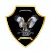 Foto de Indumentaria los halcones