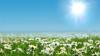 Foto de Energreen Argentina