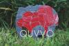 Quvv