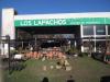Foto de Los lapachos
