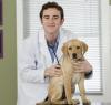 Foto de Veterinaria Patagonia